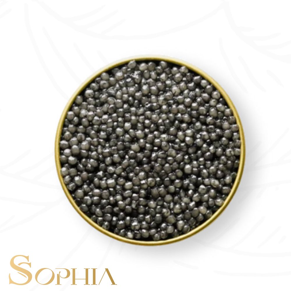 خاویار رویال بلوگا