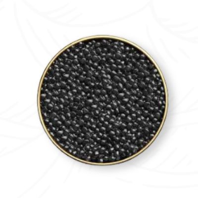 خاویار بلوگا