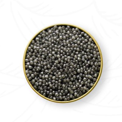 خاویار رویال بلوگا