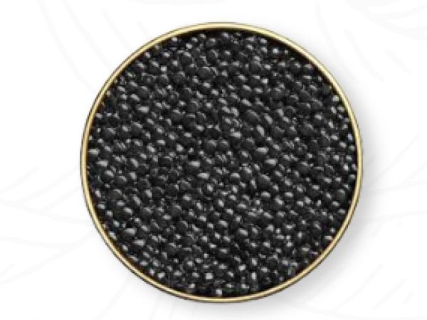 Beluga Caviar