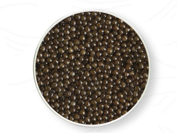 Osetra Caviar