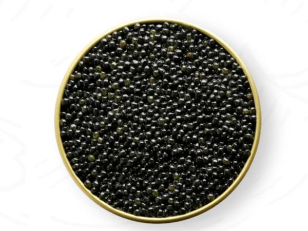 Royal Baeri Caviar