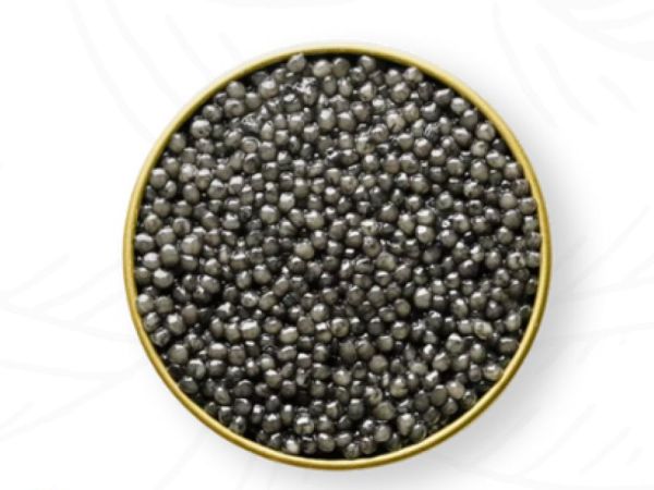 Royal Beluga Caviar